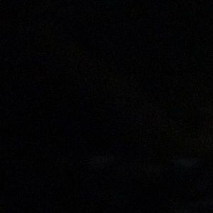 Meet your Posher, Benji